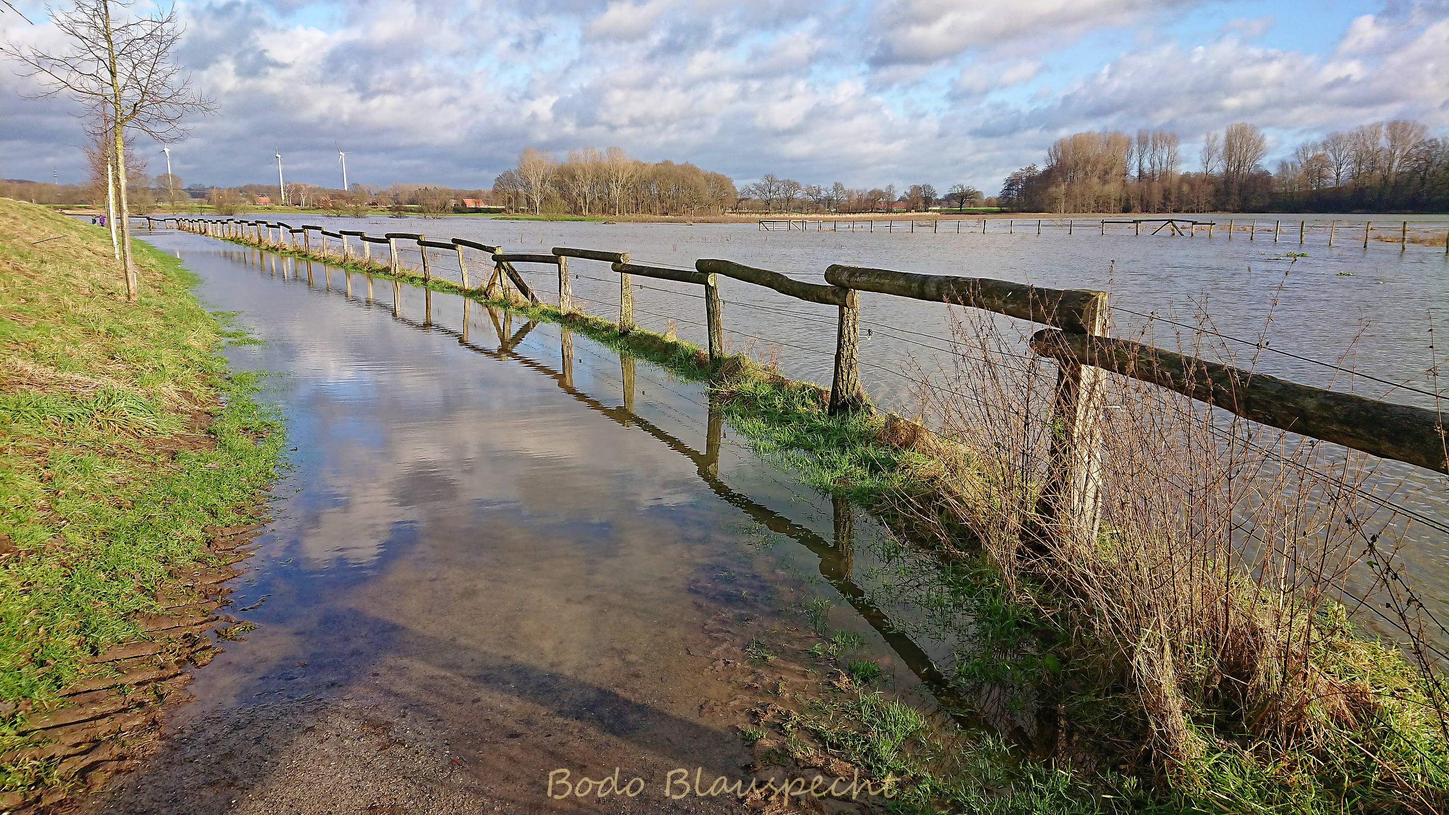 Hochwasser   Steveraue   2023.12.26 12.13 68 WEB